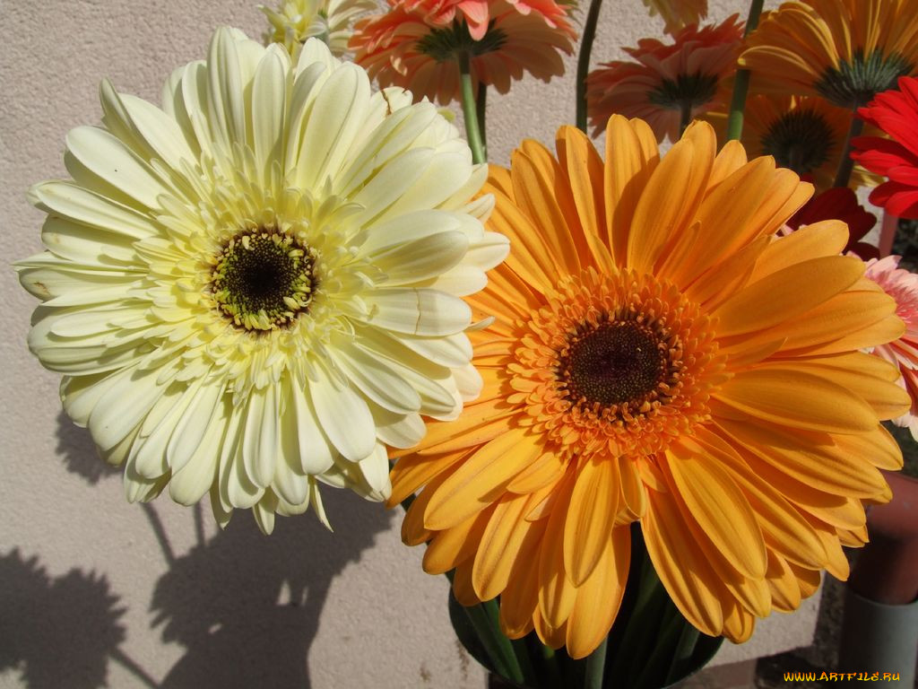 , 